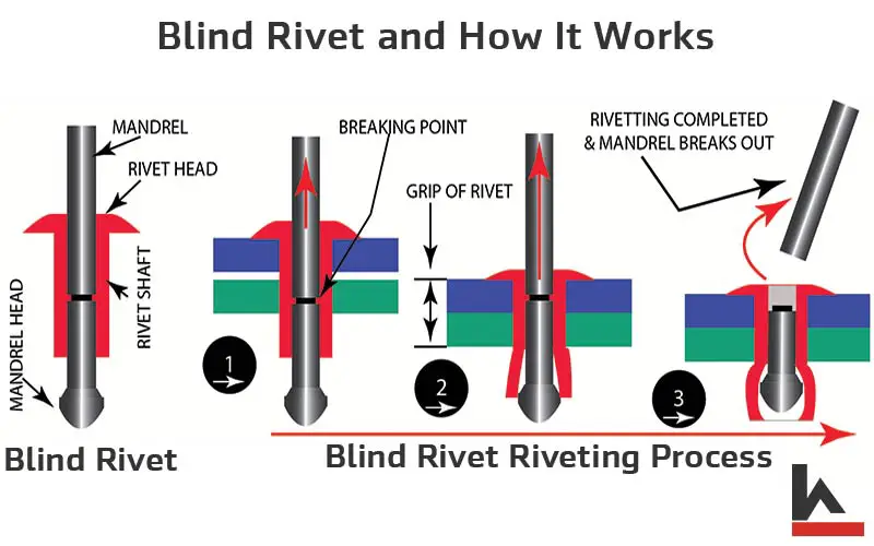 What Is Riveting & How Does Riveting Work? Types of Rivets