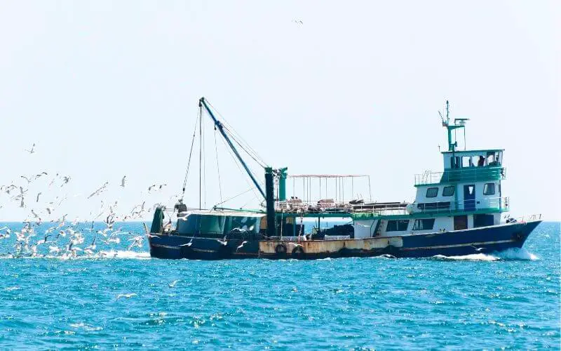 Fishing vessel